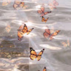 Meet your Posher, Selena